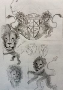 lion tattoo study sketch